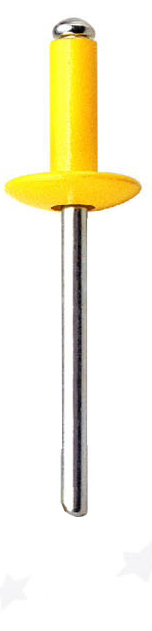 Large Flange Type Blind Rivets Painted Large Flange Blind Rivets